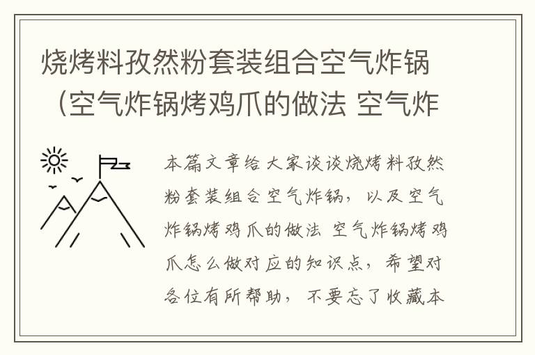 烧烤料孜然粉套装组合空气炸锅（空气炸锅烤鸡爪的做法 空气炸锅烤鸡爪怎么做）