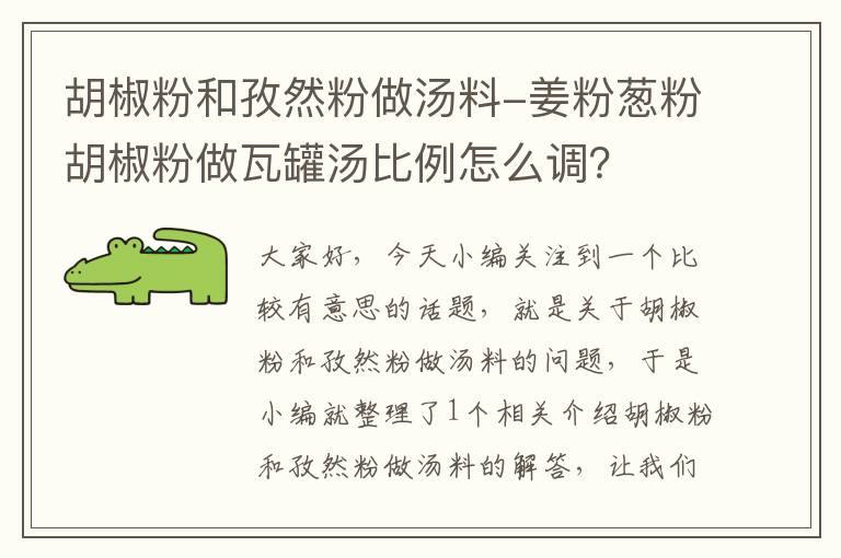 胡椒粉和孜然粉做汤料-姜粉葱粉胡椒粉做瓦罐汤比例怎么调？