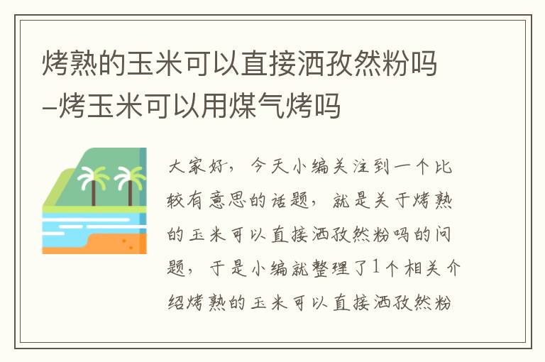 烤熟的玉米可以直接洒孜然粉吗-烤玉米可以用煤气烤吗