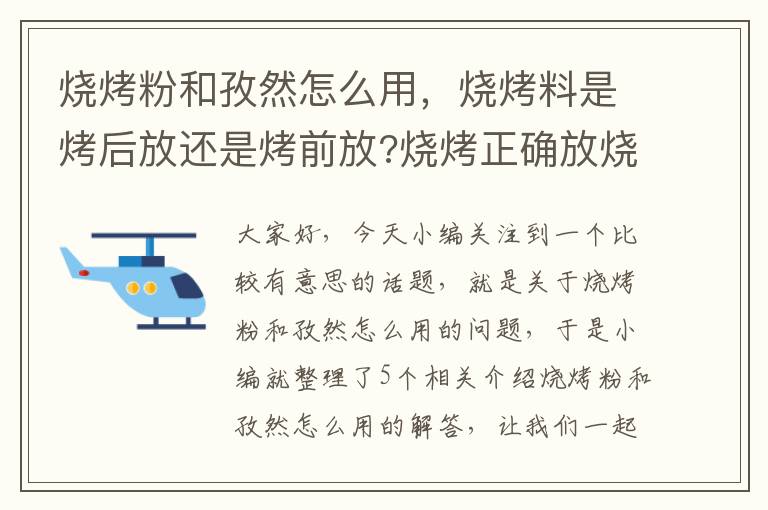 烧烤粉和孜然怎么用，烧烤料是烤后放还是烤前放?烧烤正确放烧烤料顺序是什么样的?_百度知 ...