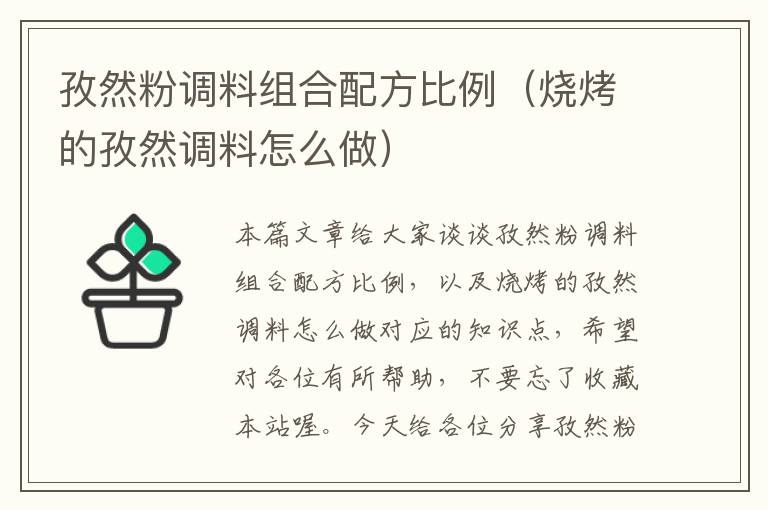 孜然粉调料组合配方比例（烧烤的孜然调料怎么做）