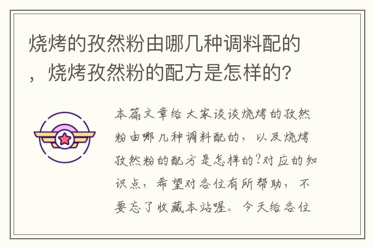 烧烤的孜然粉由哪几种调料配的，烧烤孜然粉的配方是怎样的?