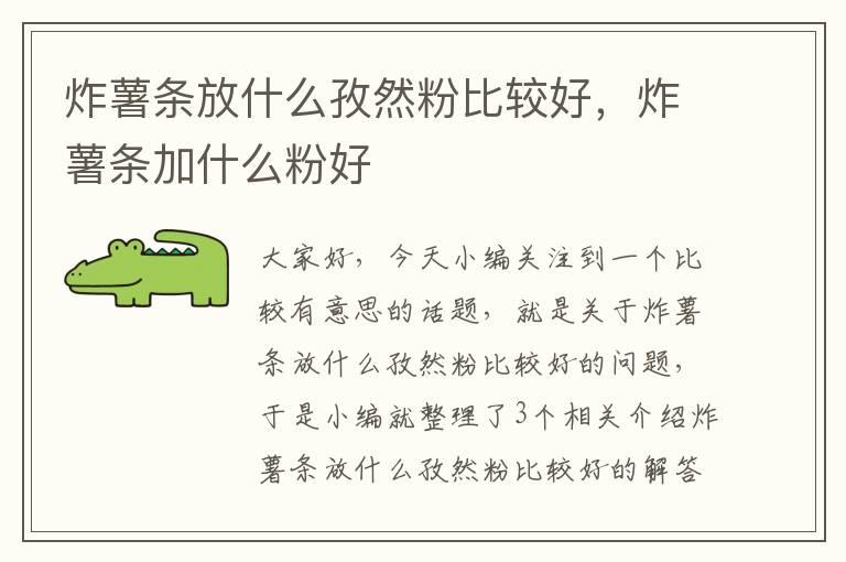 炸薯条放什么孜然粉比较好，炸薯条加什么粉好