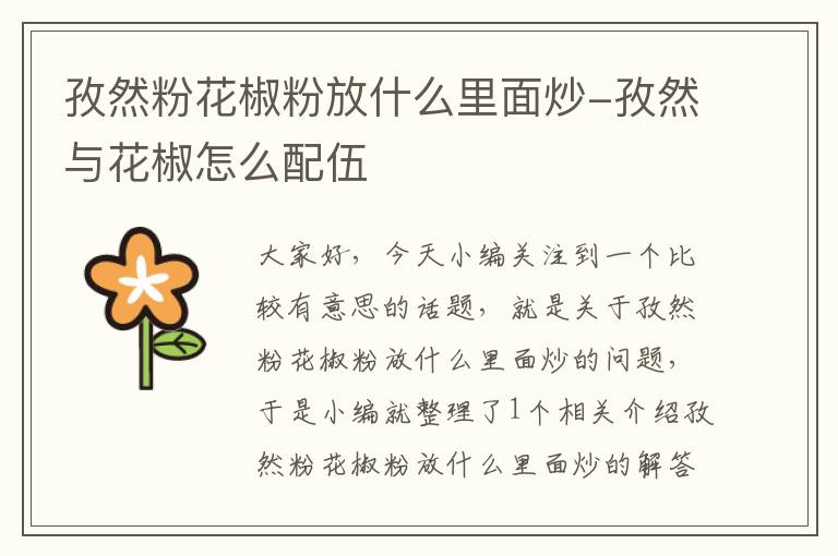 孜然粉花椒粉放什么里面炒-孜然与花椒怎么配伍