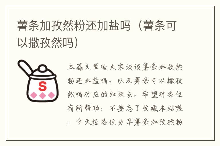 薯条加孜然粉还加盐吗（薯条可以撒孜然吗）