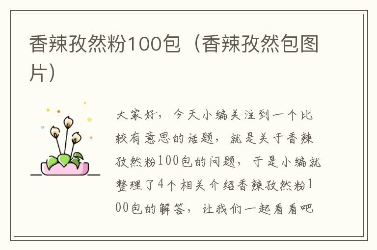 香辣孜然粉100包（香辣孜然包图片）