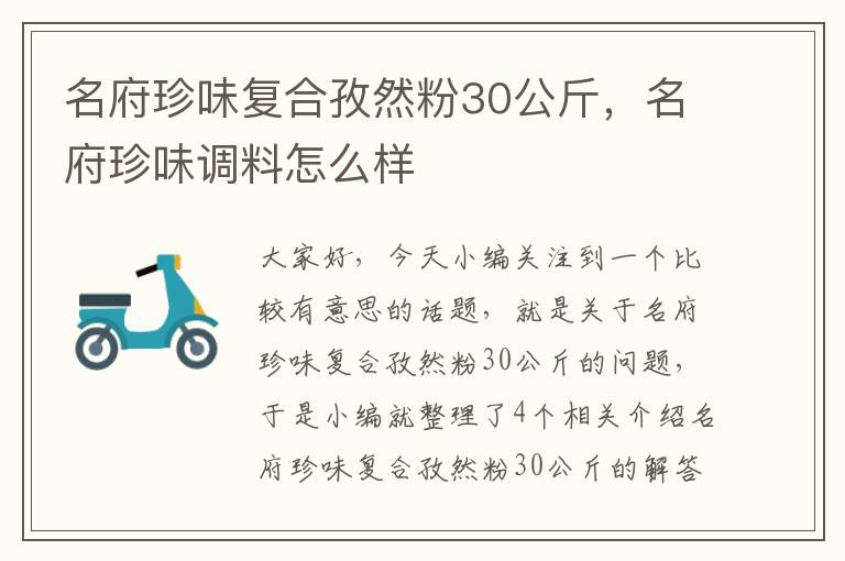 名府珍味复合孜然粉30公斤，名府珍味调料怎么样