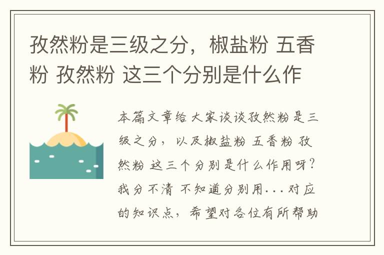 孜然粉是三级之分，椒盐粉 五香粉 孜然粉 这三个分别是什么作用呀?我分不清 不知道分别用...