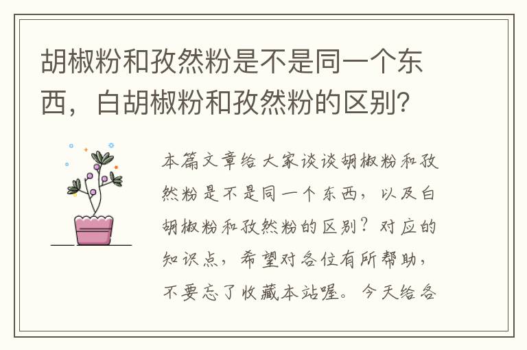 胡椒粉和孜然粉是不是同一个东西，白胡椒粉和孜然粉的区别？