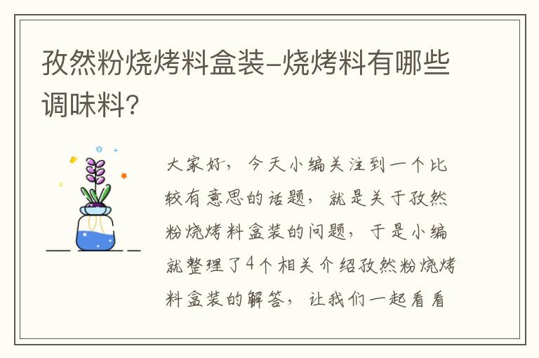 孜然粉烧烤料盒装-烧烤料有哪些调味料?