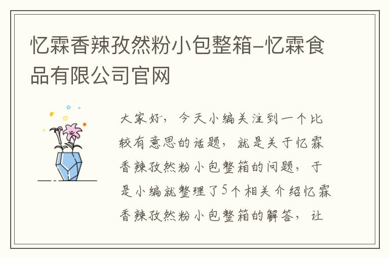 忆霖香辣孜然粉小包整箱-忆霖食品有限公司官网