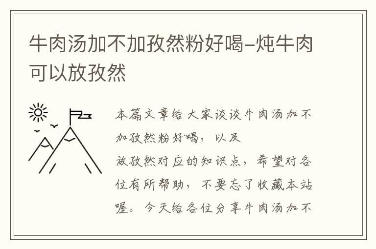 牛肉汤加不加孜然粉好喝-炖牛肉可以放孜然