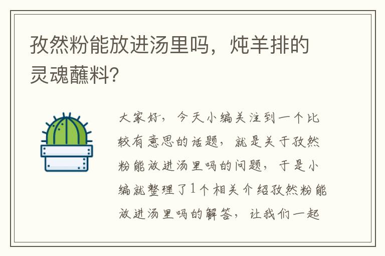 孜然粉能放进汤里吗，炖羊排的灵魂蘸料？