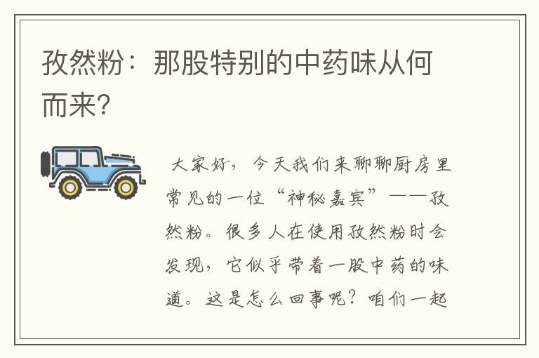 孜然粉：那股特别的中药味从何而来？