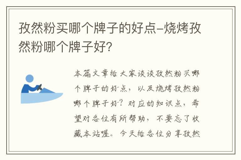 孜然粉买哪个牌子的好点-烧烤孜然粉哪个牌子好？