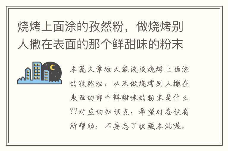 烧烤上面涂的孜然粉，做烧烤别人撒在表面的那个鲜甜味的粉末是什么??