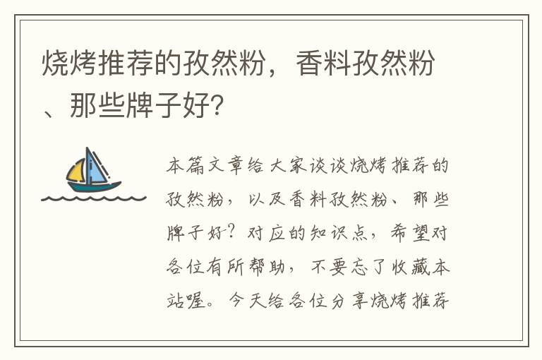 烧烤推荐的孜然粉，香料孜然粉、那些牌子好？