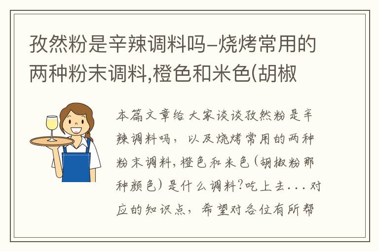 孜然粉是辛辣调料吗-烧烤常用的两种粉末调料,橙色和米色(胡椒粉那种颜色)是什么调料?吃上去...