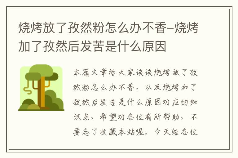 烧烤放了孜然粉怎么办不香-烧烤加了孜然后发苦是什么原因