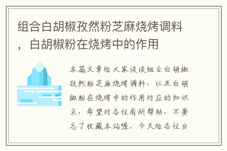 组合白胡椒孜然粉芝麻烧烤调料，白胡椒粉在烧烤中的作用