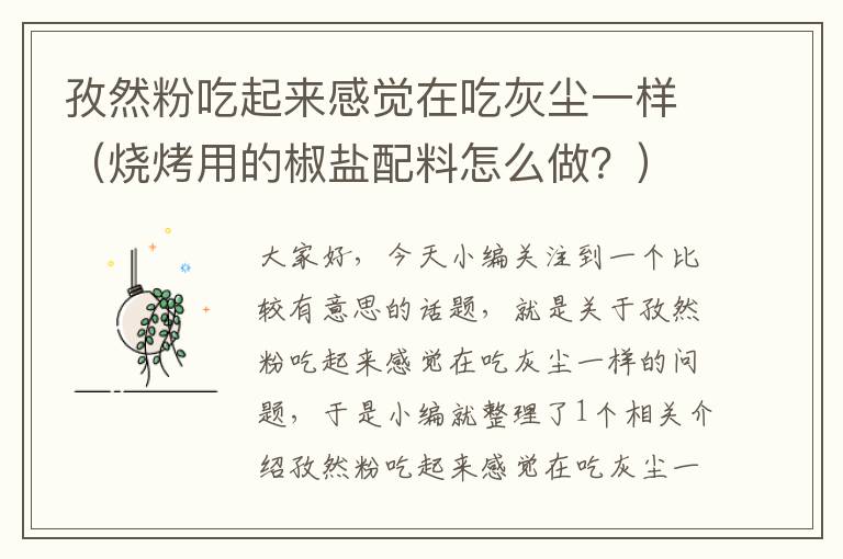 孜然粉吃起来感觉在吃灰尘一样（烧烤用的椒盐配料怎么做？）