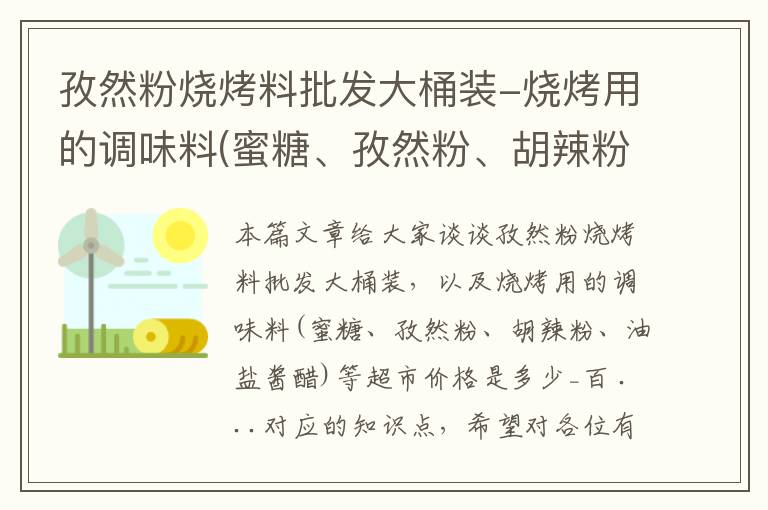 孜然粉烧烤料批发大桶装-烧烤用的调味料(蜜糖、孜然粉、胡辣粉、油盐酱醋)等超市价格是多少_百 ...