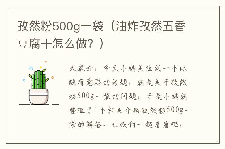 孜然粉500g一袋（油炸孜然五香豆腐干怎么做？）