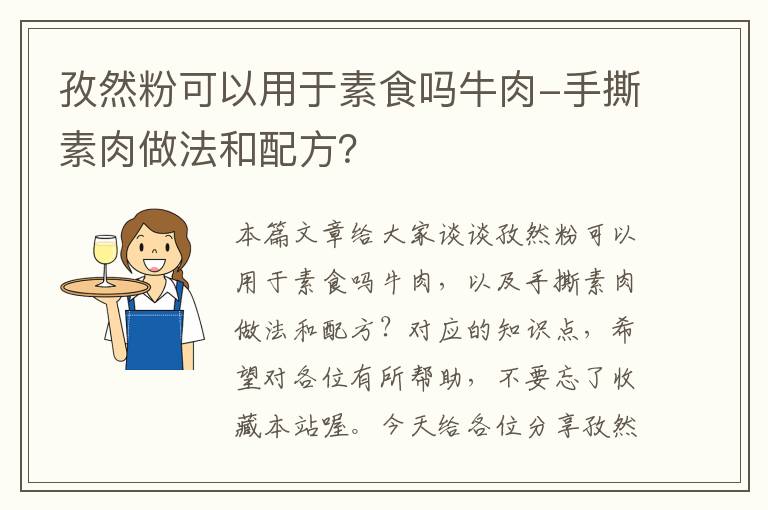 孜然粉可以用于素食吗牛肉-手撕素肉做法和配方？