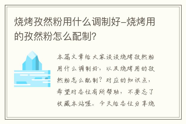 烧烤孜然粉用什么调制好-烧烤用的孜然粉怎么配制？