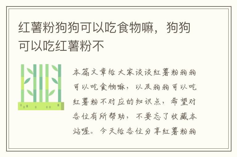 红薯粉狗狗可以吃食物嘛，狗狗可以吃红薯粉不