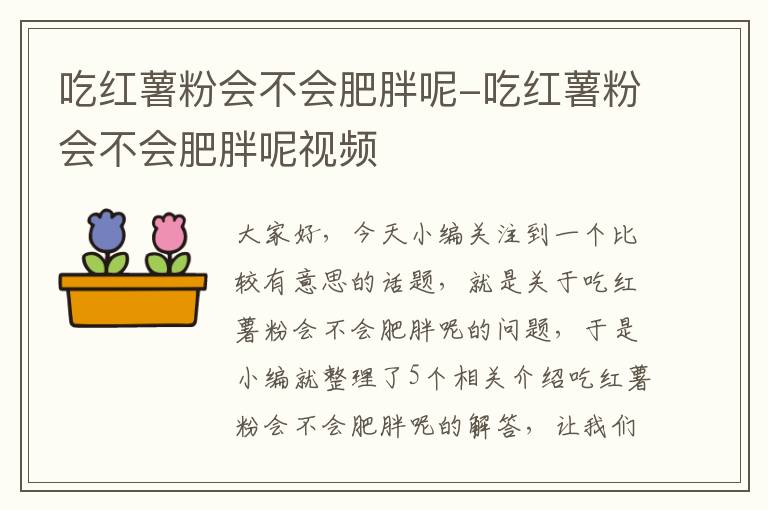 吃红薯粉会不会肥胖呢-吃红薯粉会不会肥胖呢视频