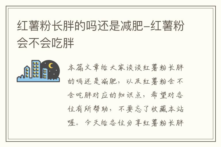 红薯粉长胖的吗还是减肥-红薯粉会不会吃胖