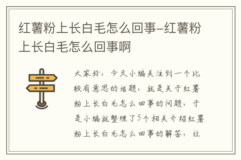 红薯粉上长白毛怎么回事-红薯粉上长白毛怎么回事啊