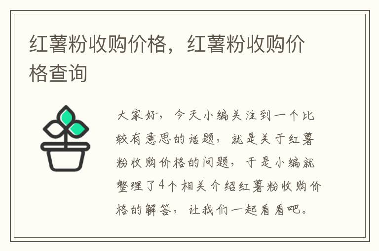 红薯粉收购价格，红薯粉收购价格查询