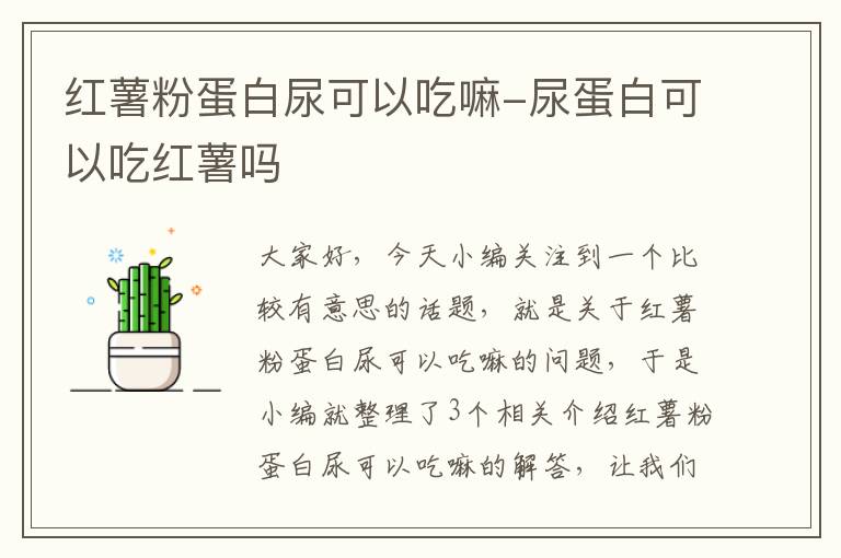 红薯粉蛋白尿可以吃嘛-尿蛋白可以吃红薯吗