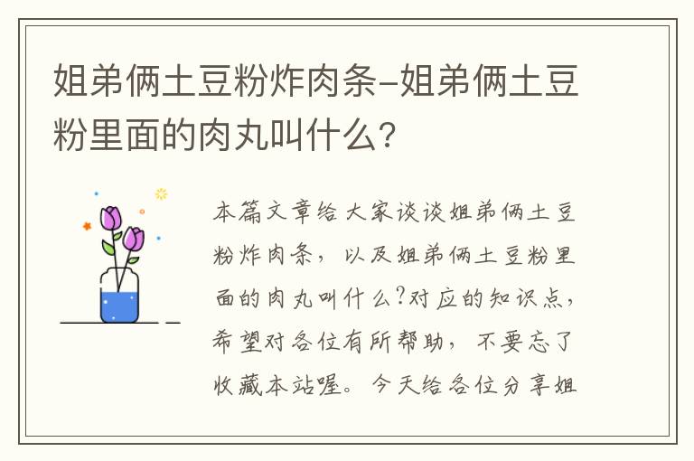 姐弟俩土豆粉炸肉条-姐弟俩土豆粉里面的肉丸叫什么?