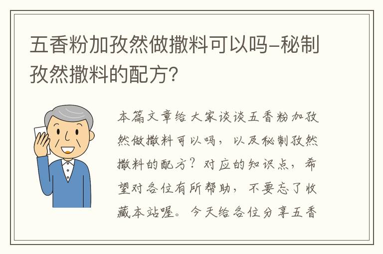 五香粉加孜然做撒料可以吗-秘制孜然撒料的配方？