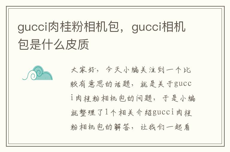 gucci肉桂粉相机包，gucci相机包是什么皮质