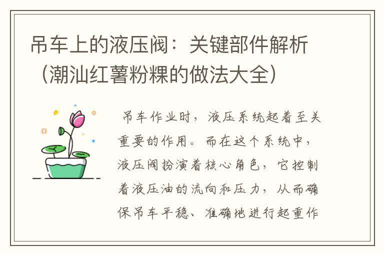 吊车上的液压阀：关键部件解析（潮汕红薯粉粿的做法大全）