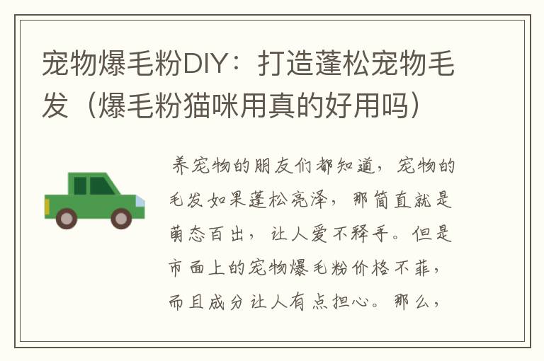 宠物爆毛粉DIY：打造蓬松宠物毛发（爆毛粉猫咪用真的好用吗）