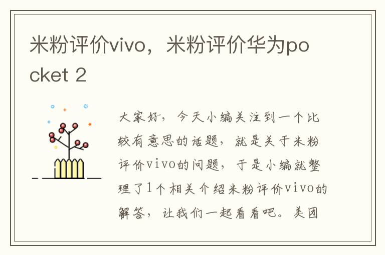 米粉评价vivo，米粉评价华为pocket 2