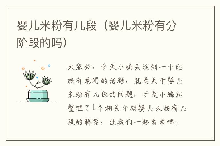 婴儿米粉有几段（婴儿米粉有分阶段的吗）