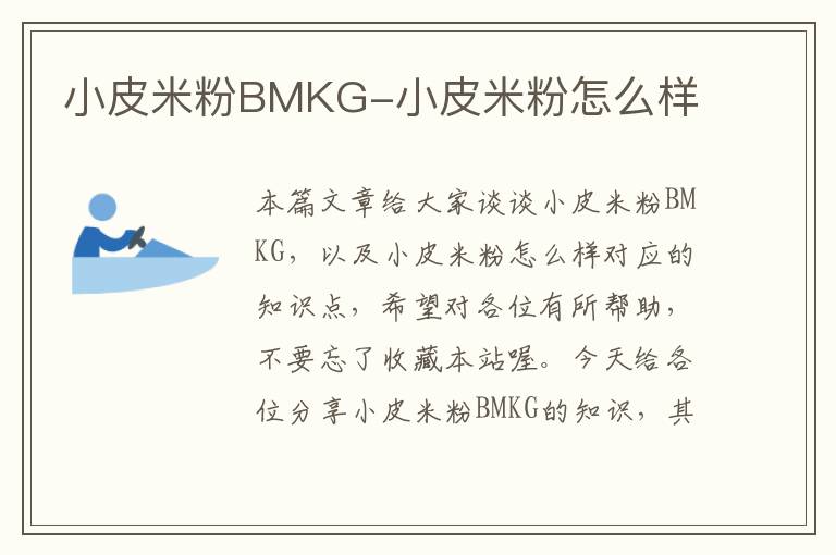 小皮米粉BMKG-小皮米粉怎么样