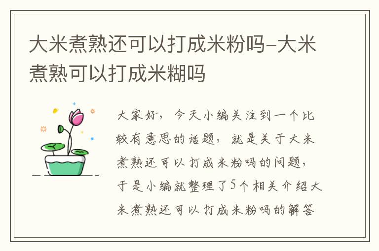 大米煮熟还可以打成米粉吗-大米煮熟可以打成米糊吗