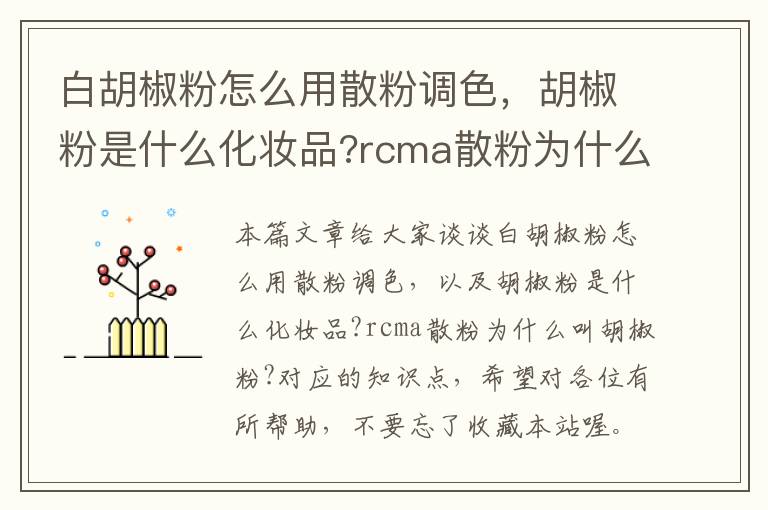 白胡椒粉怎么用散粉调色，胡椒粉是什么化妆品?rcma散粉为什么叫胡椒粉?