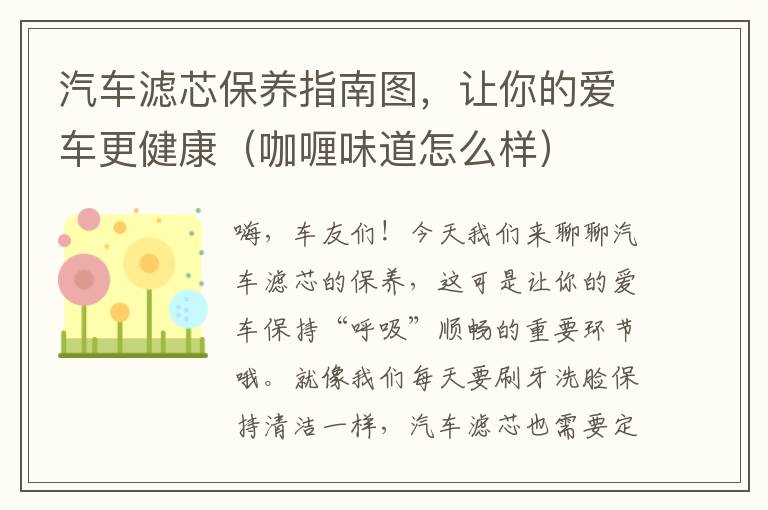 汽车滤芯保养指南图，让你的爱车更健康（咖喱味道怎么样）