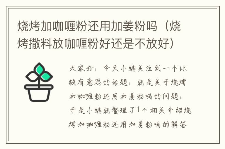 烧烤加咖喱粉还用加姜粉吗（烧烤撒料放咖喱粉好还是不放好）