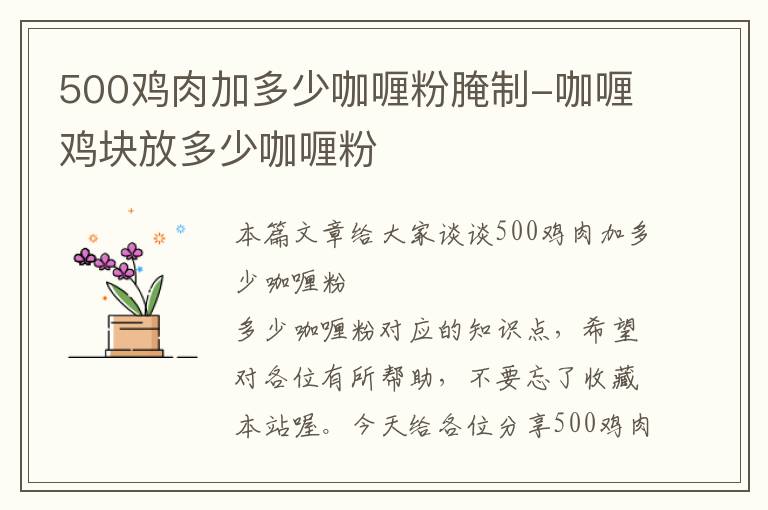 500鸡肉加多少咖喱粉腌制-咖喱鸡块放多少咖喱粉