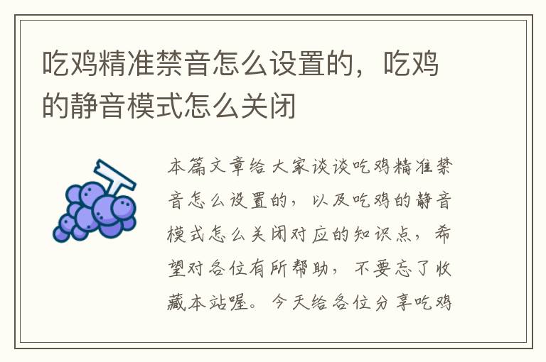 吃鸡精准禁音怎么设置的，吃鸡的静音模式怎么关闭