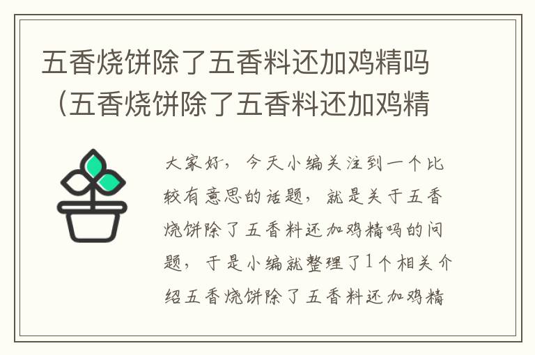 五香烧饼除了五香料还加鸡精吗（五香烧饼除了五香料还加鸡精吗视频）